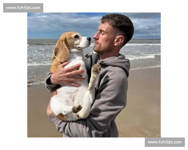 拉姆塞悬赏万美金寻犬 Halo，三周搜寻仍盼归期